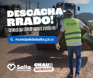 Descacharrado 300×250 web